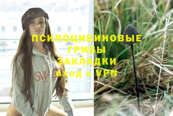 спайс Арсеньев