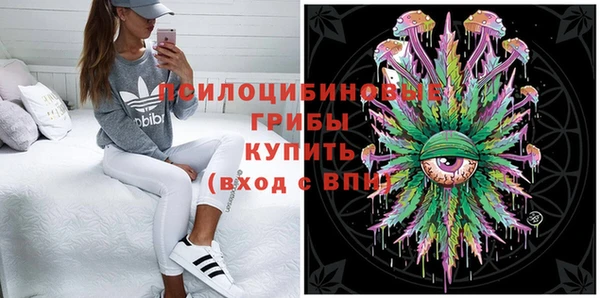 шишки Балахна