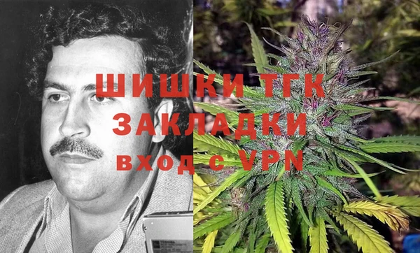 спайс Арсеньев
